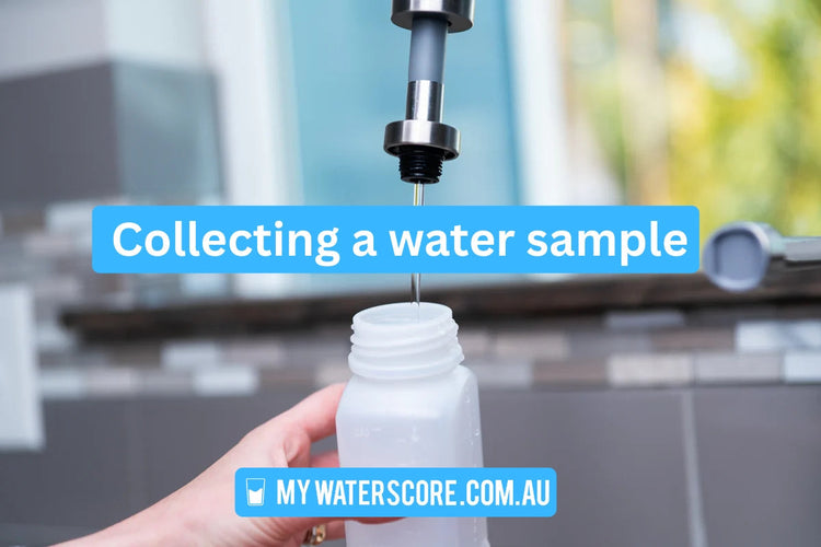 How to collect a water sample to test for PFAS – My Water Score