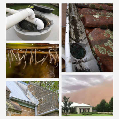 Basic Tank Water Test