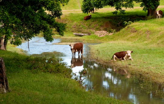 Comprehensive Pesticide Screen add-on test
