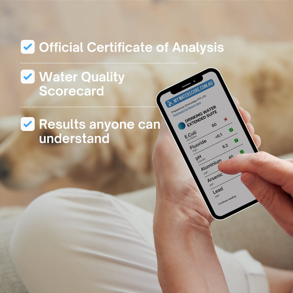 Basic Water Test | Test Your Water Quality. Quick. Easy. Affordable ...